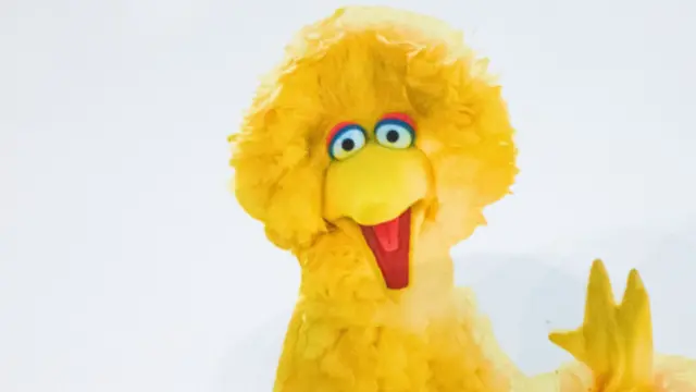 Big Bird - Sesame Street character