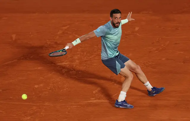 Damir Dzumhur