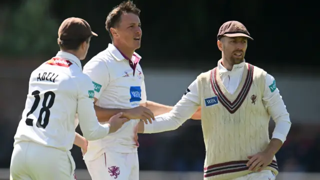 Somerset celebrate wicket