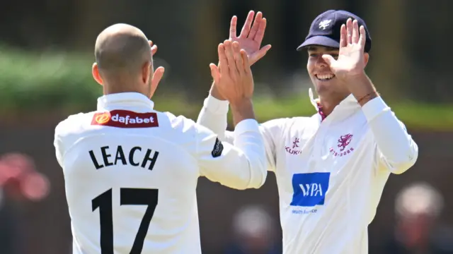 Somerset celebrate wicket