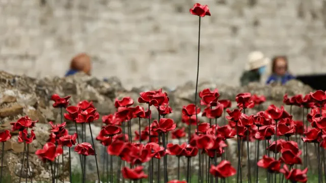 A close-up image showing a dozen or so of the ceramic poppies - they have black stems and red flowers