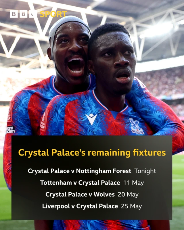 Crystal Palace remaining Premier League games
