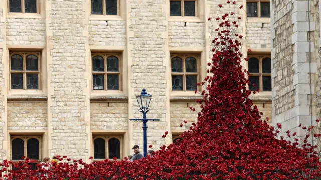 Thousands of poppies together forming part of the display, rising into a kind of peak at one point