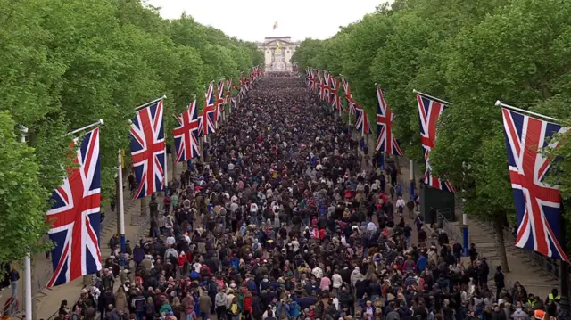 Huge crowd of people walking down the Mall towards Buckingham Palace. The road is packed with people