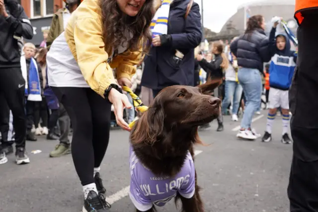 A dog wearing a Leeds United shirt.