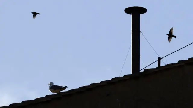 A chimney on the roof of the Sistine Chapel, there is no smoke coming out of it