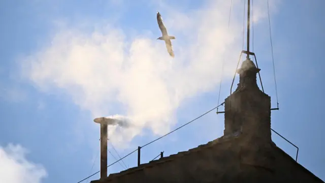 White smoke appears from the chimney as a bird flies in the background