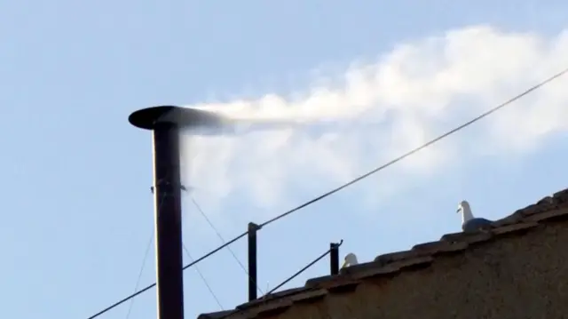 White smoke comes from a chimney at the Sistine Chapel. Two seagulls are on the roof next to it.