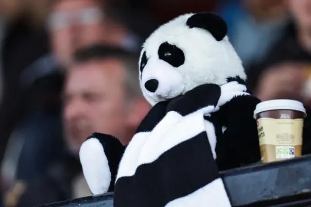 A Panda in an ayr united scarf