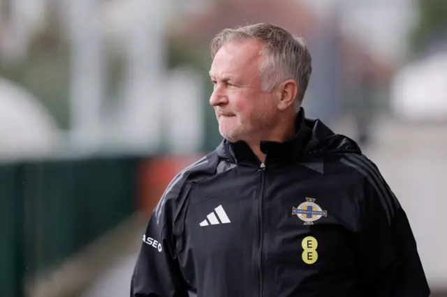 Northern Ireland manager Michael O'Neill