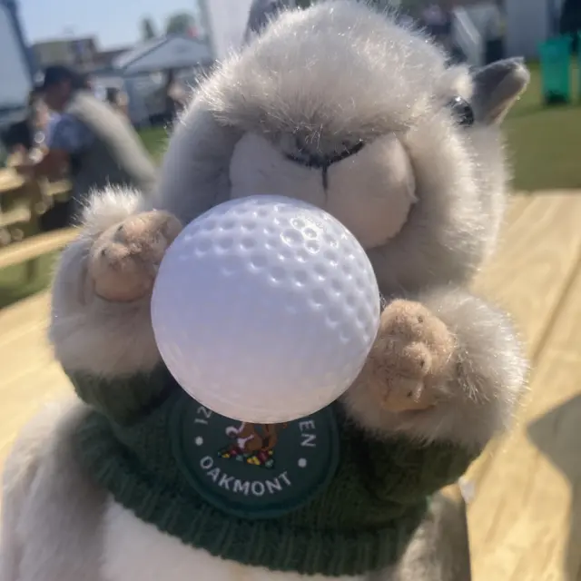 Oakmont squirrel toy