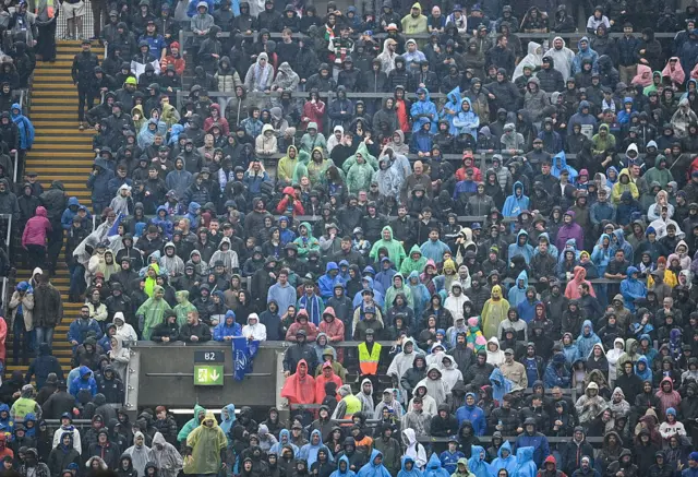 Leinster fans