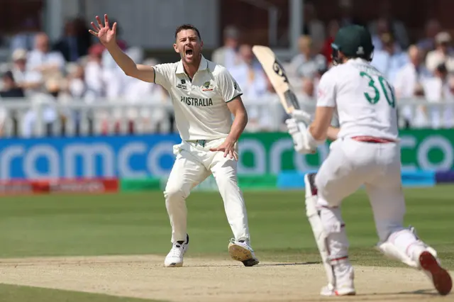 Hazlewood