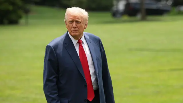 Donald Trump stands on the White House lawns.