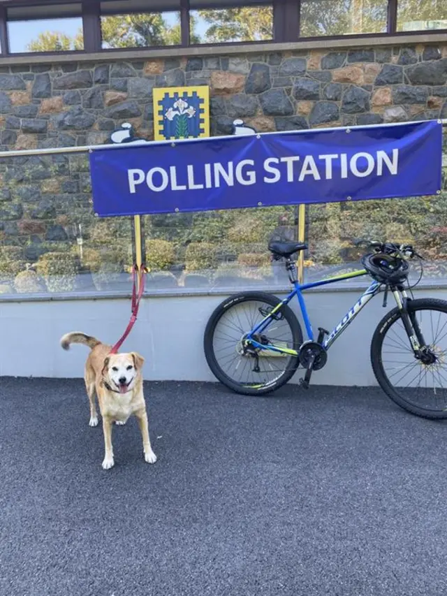 A dog stood by a bicycle at a polling station
