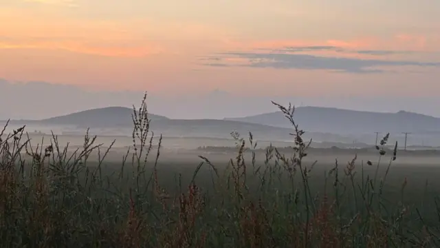 Sunrise over a mountain landscape and a number of fields. Tall, grass-like plants are in focus in the foreground, with the mountains in the background.