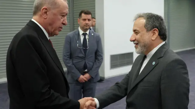 Turkey's President Tayyip Erdogan meets with Iranian Foreign Minister Abbas Araghchi. Both men wear suits and are shaking hands