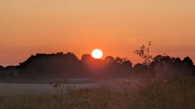 The sun rising over trees in the centre of the image. The landscape is filled with fields and shrubbery.
