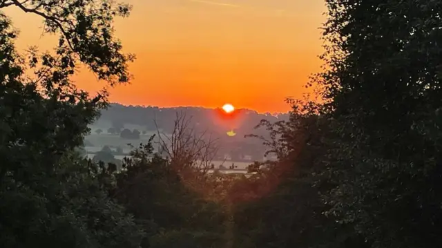 The sun peeping over trees in Warwickshire. Shrubbery is in focus at the front of the image, with the sunrise centre.