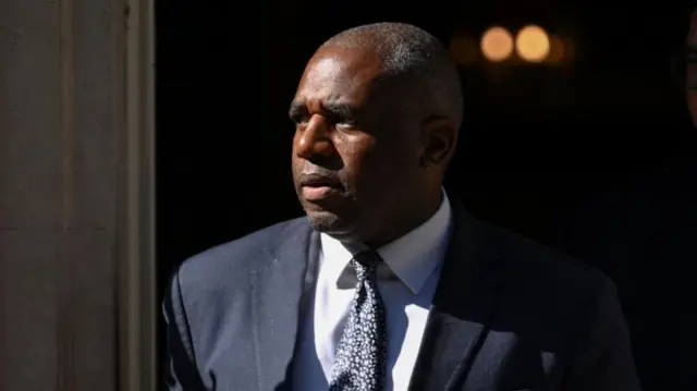David Lammy, pictured last week