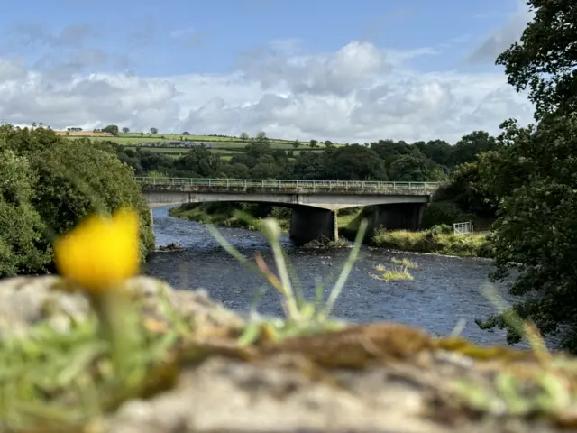 A wide shot of a bridge on the A5 road over a river at Newtownstewart.  One arch of the bridge is in the water.  There a fields in the background and a stone wall covered in weeds and flowers in the foreground