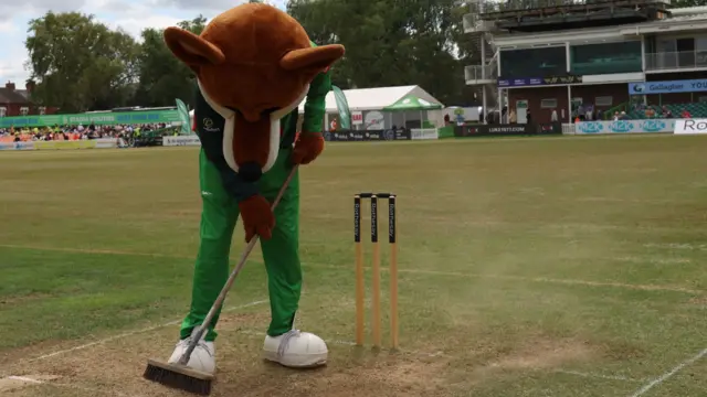 Leicestershire's Mascot Charlie Fox lends a hand with wicket repairs