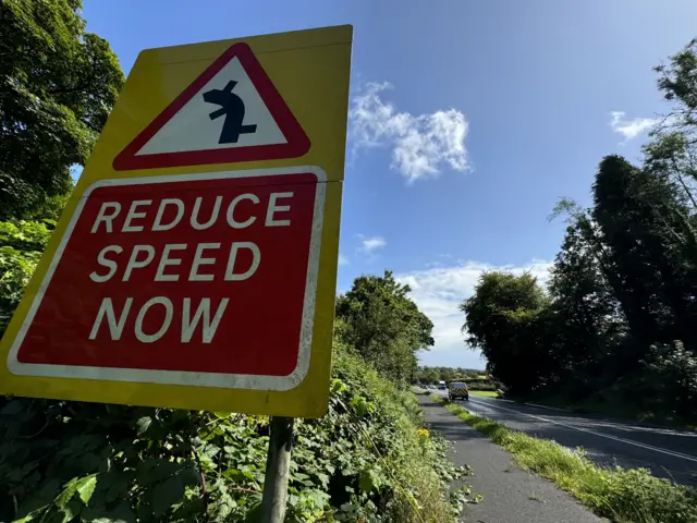 A red "reduce speed now" sign on the A5 in Northern Ireland. A van is driving along the road and there are trees and shrubs lining the route.