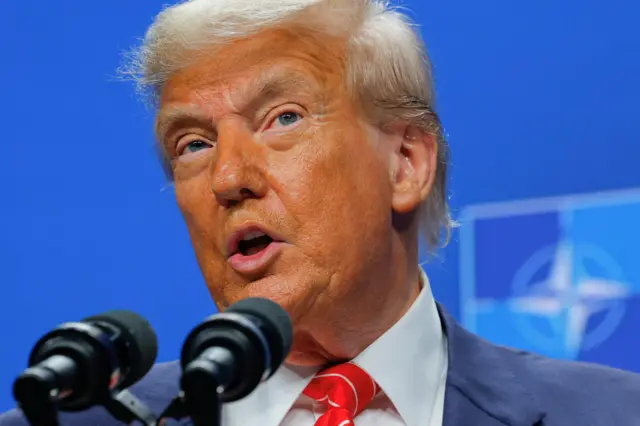 Donald Trump speaking into microphone