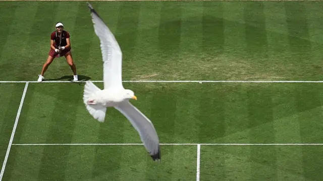 Emma Raducanu watches as a seagull flies over the court