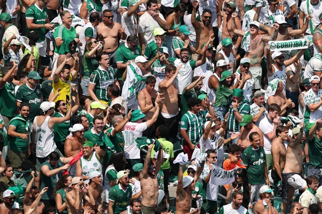 Palmeiras fans during the game against Botafogo