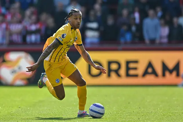 Joao Pedro playing for Brighton