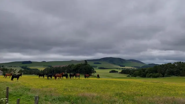Elsrickle South Lanarkshire with horses in a field and grey clouds overhead