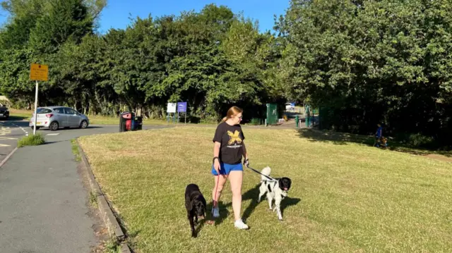 A woman walks two dogs on some grass with trees in the background