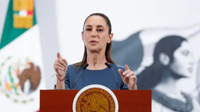 Mexican President Claudia Sheinbaum speaks during a press conference.