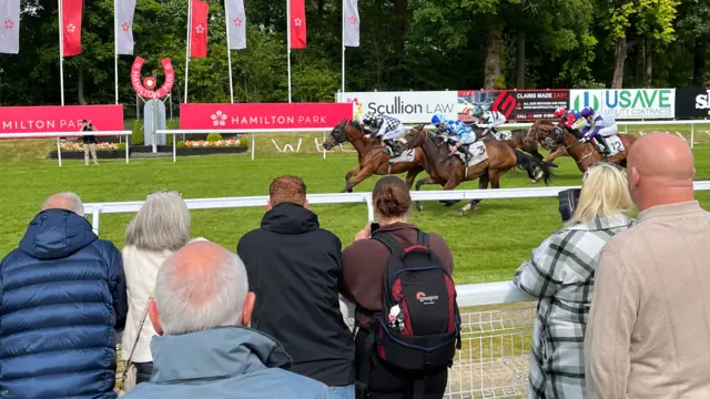 Horses racing in Hamilton