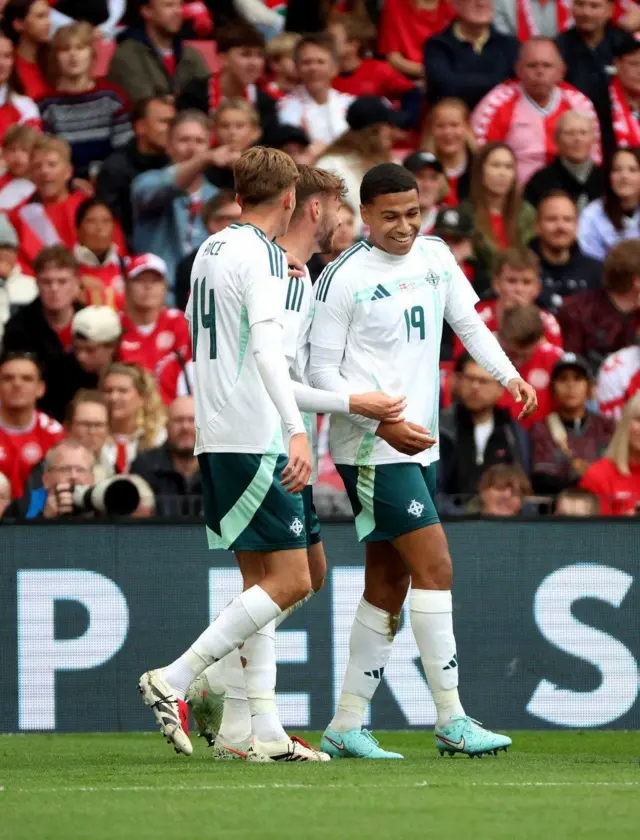 Northern Ireland celebrating their goal