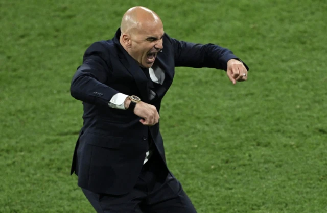 Portugal coach Roberto Martinez