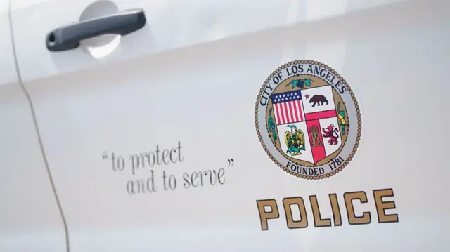 LAPD badge on car