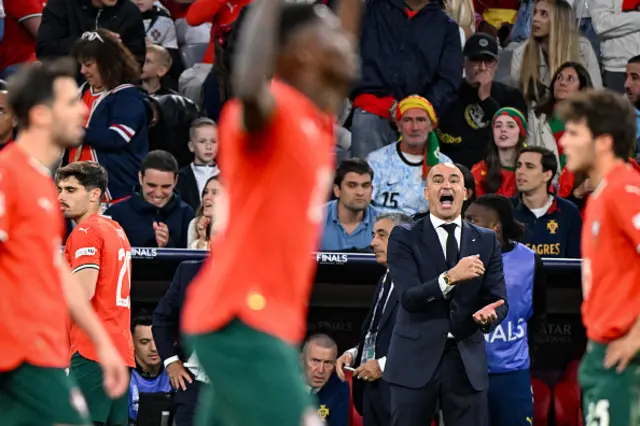 Roberto Martinez shouts