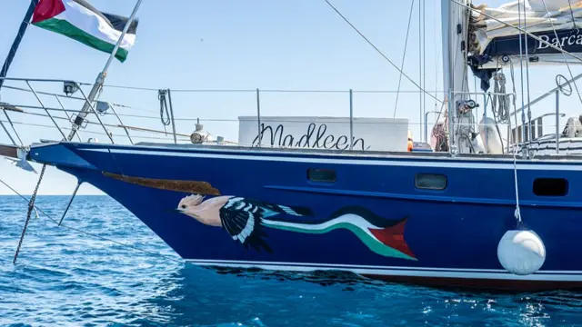 Front end of a boat with a Palestinian flag on the left, and a painting of a bird with a Palestinian flag as a tail
