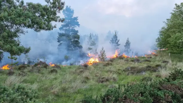 Fires and smoke in woodland.