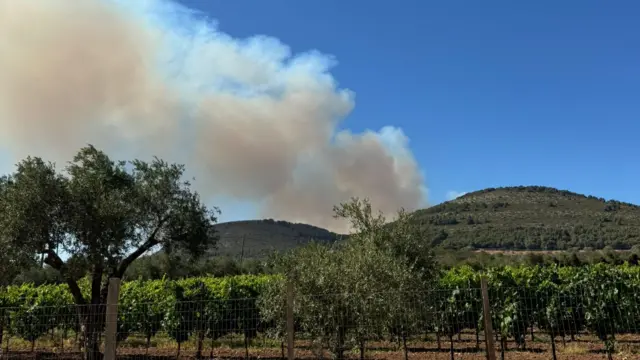 Grey smoke billows into the blue skies from behind a green hill overlooking a vineyard in Sardinia