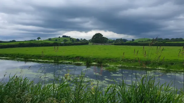 Field and river with cloudy skies.