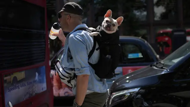 A man drinks a bottle of water as he carries a dog in a backpack