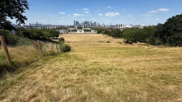 Scorched grass of Greenwich Park overlooking the London skyline