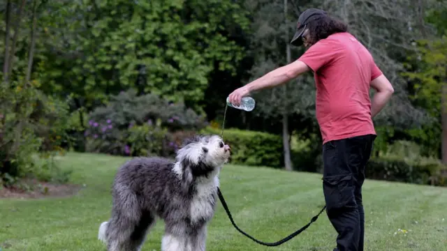A man gives his dog some water in a park.