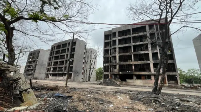 Charred trees and burnt buildings