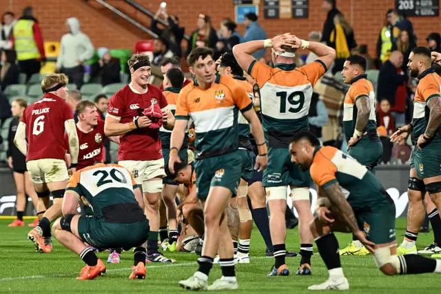 British and Irish Lions celebrate