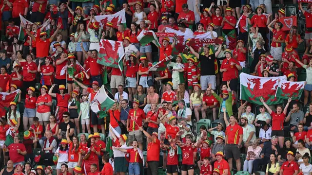 The fans of Wales show their support