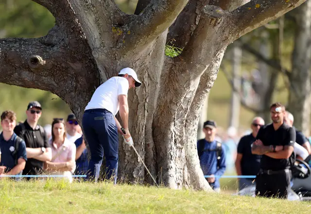 Rory McIlroy plays left-handed next to a tree